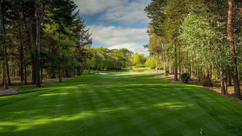 druid glen golf
